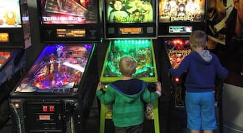 Pinball who remembers these Fun machines in the Modern World ?
A museum were everybody can play again like old times...
http://www.dutchpinballmuseum.com/