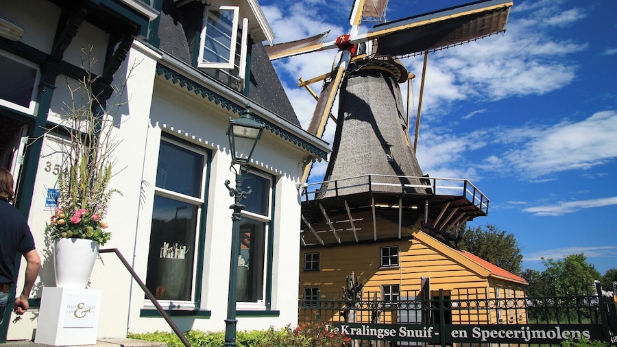 De Ster and De Lelie