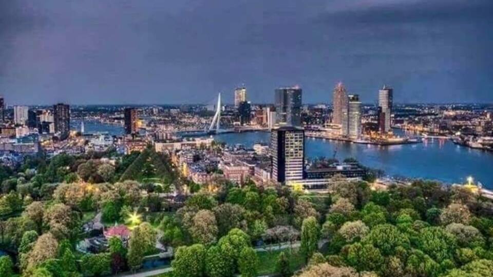 A cityscape with a river, a prominent bridge, and a park with trees.