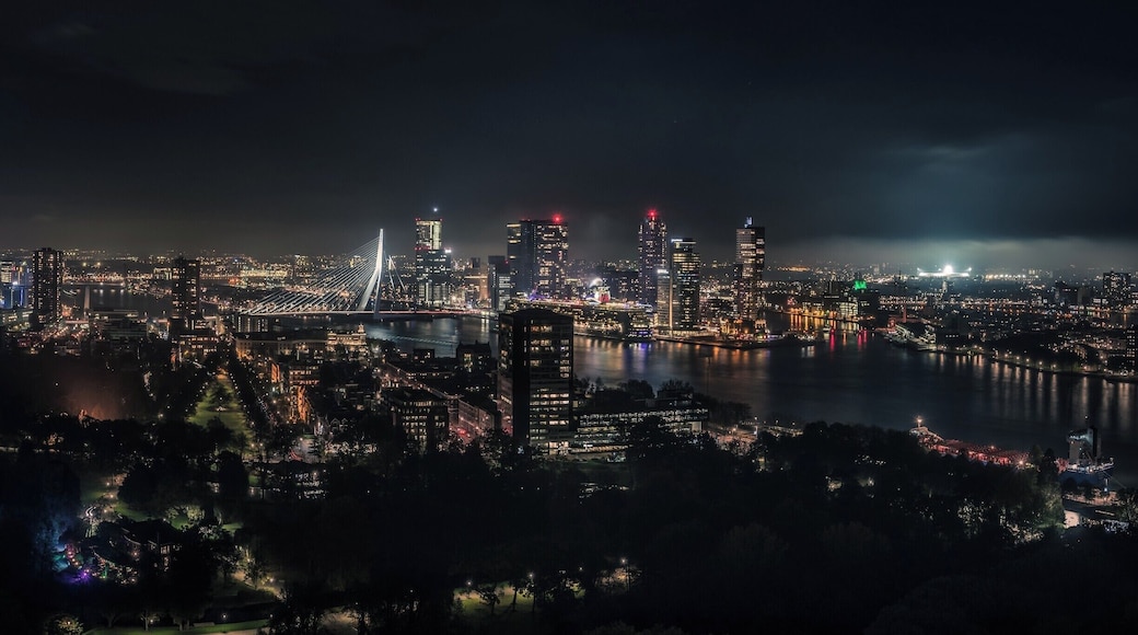 Panoramic view of the skyline of Rotterdam.
Seen are the Erasmus bridge on the left, The Cruise Terminal in the middle and The Feijenoord Soccer Stadium on the right.
#BvsCities #Rotterdam