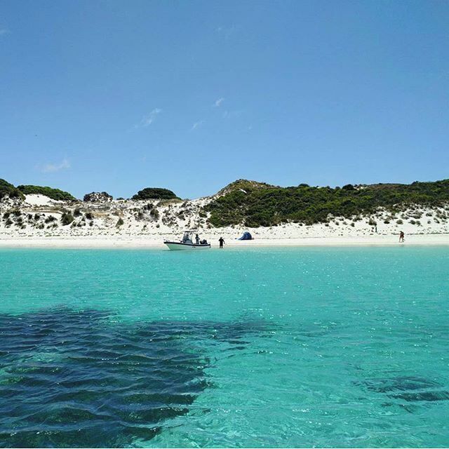 Yet another beautiful beach, courtesy of Rottnest Island; can't wait to come back and go snorkeling next time! 🐠🐟🐚 #truebeauty #aqauticaustralia 🌊 #seeaustralia #rottnestisland #mustsee
