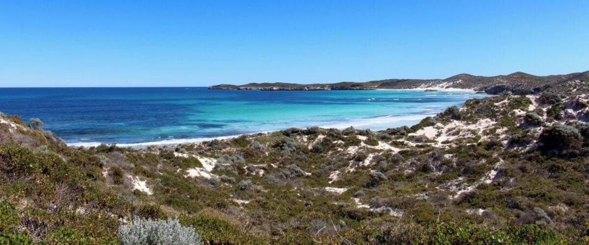 another amazing day trip. rent a bike and some snorkel gear, and get out there! find some quokkas too :)