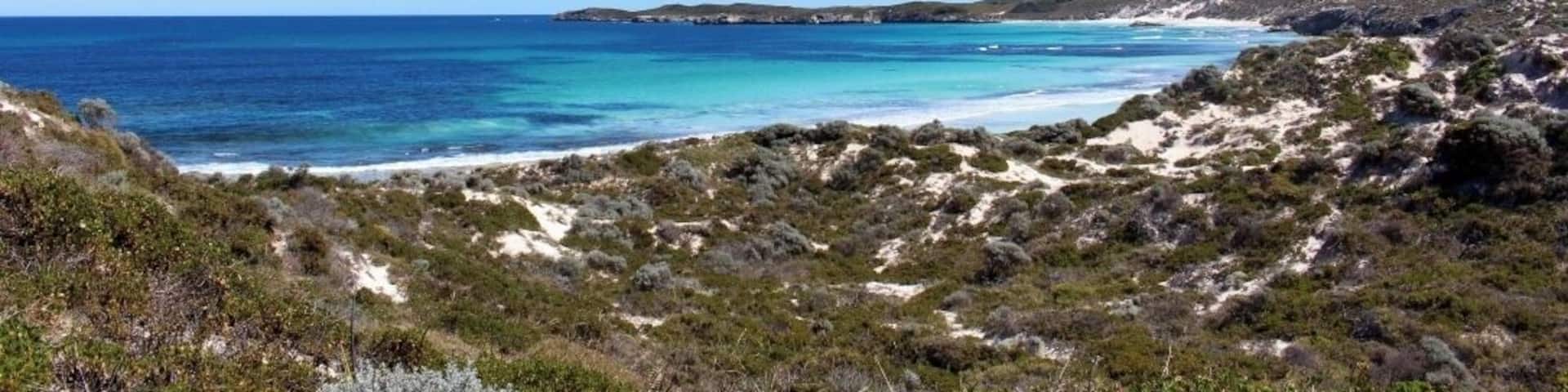 another amazing day trip. rent a bike and some snorkel gear, and get out there! find some quokkas too :)