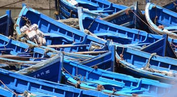 Beautiful beach town with nice medina and historical fort.