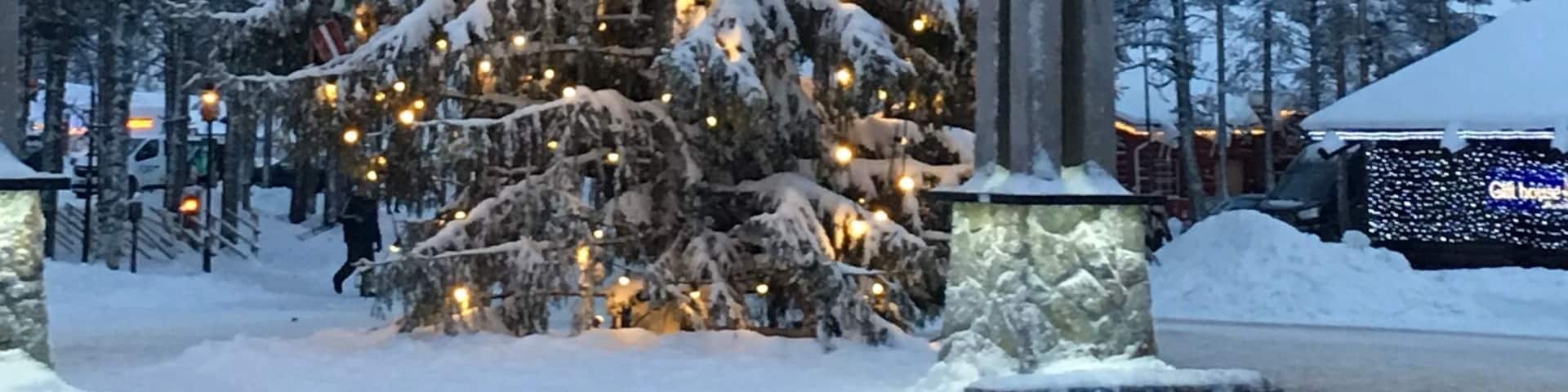 Very beautiful time of year.