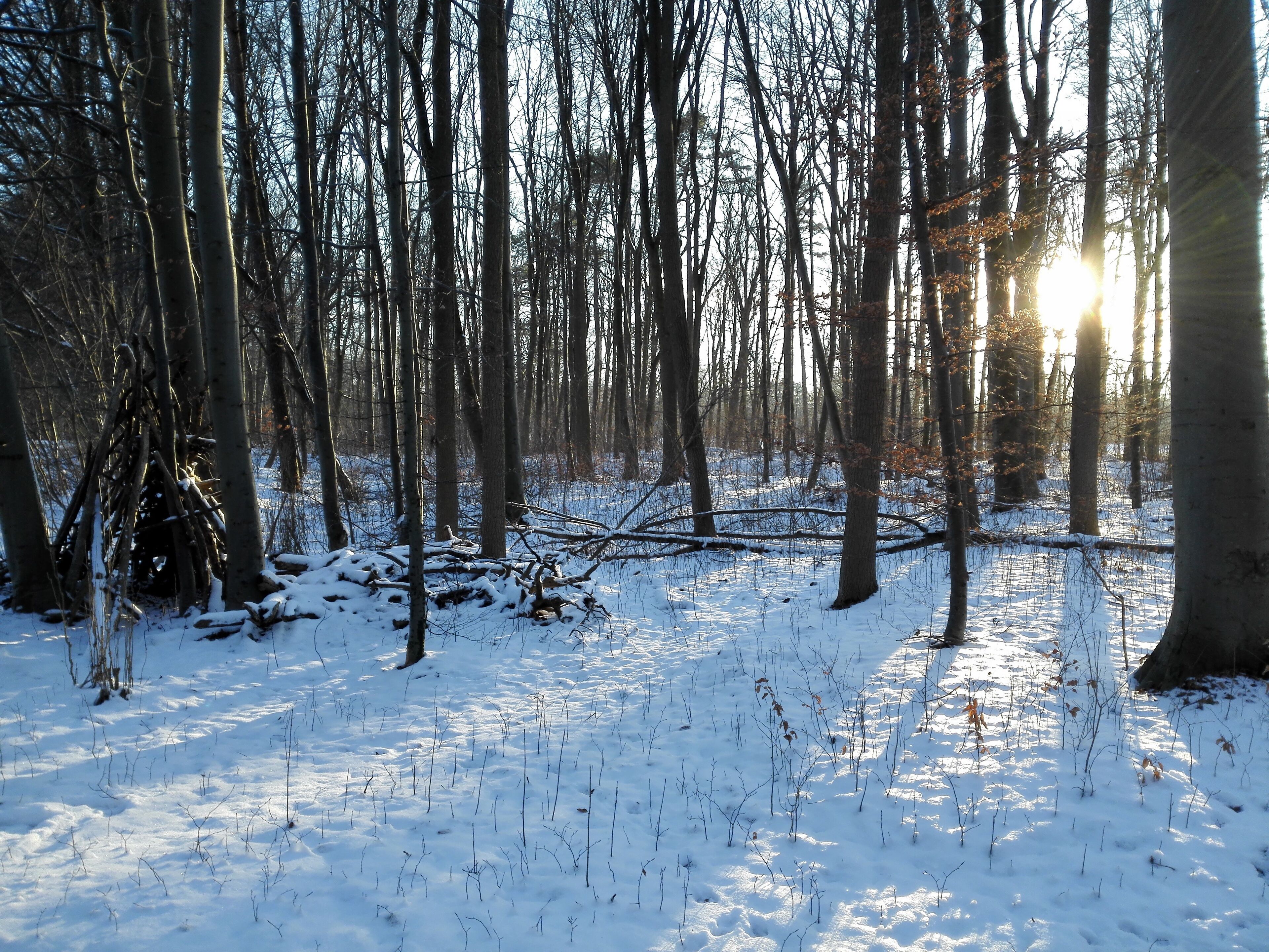 Siebentischanlagen im Winter