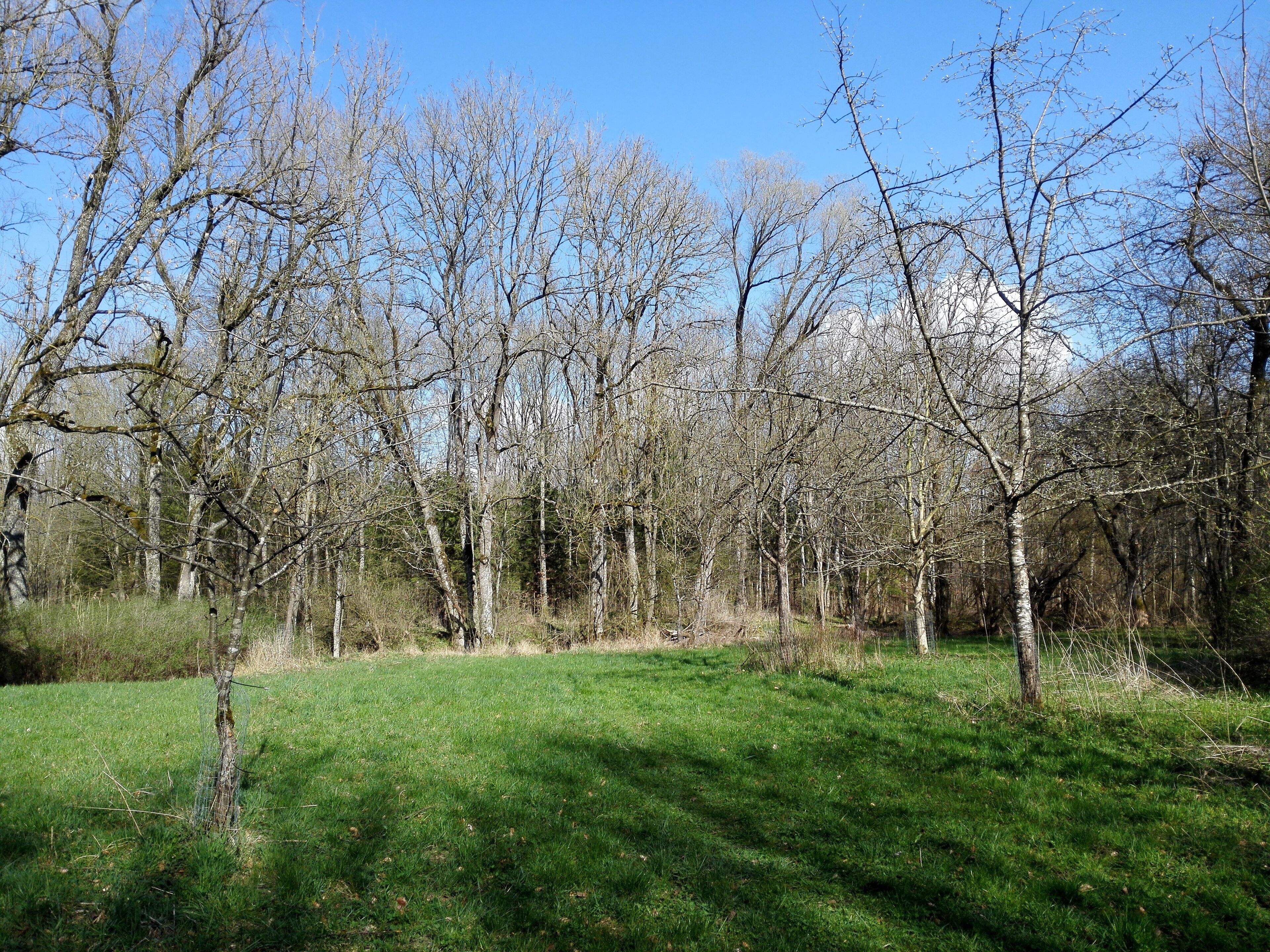 Siebenbrunn, Augsburg, Germany