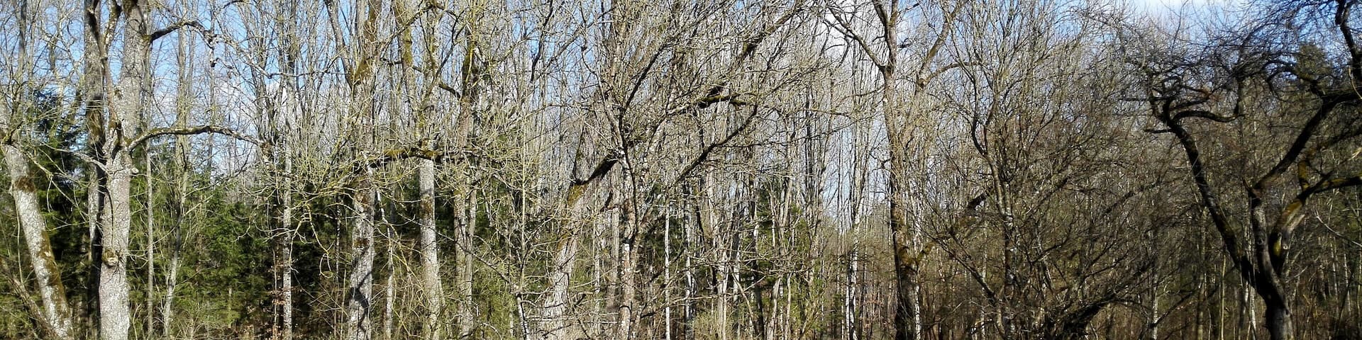 Siebenbrunn, Augsburg, Germany