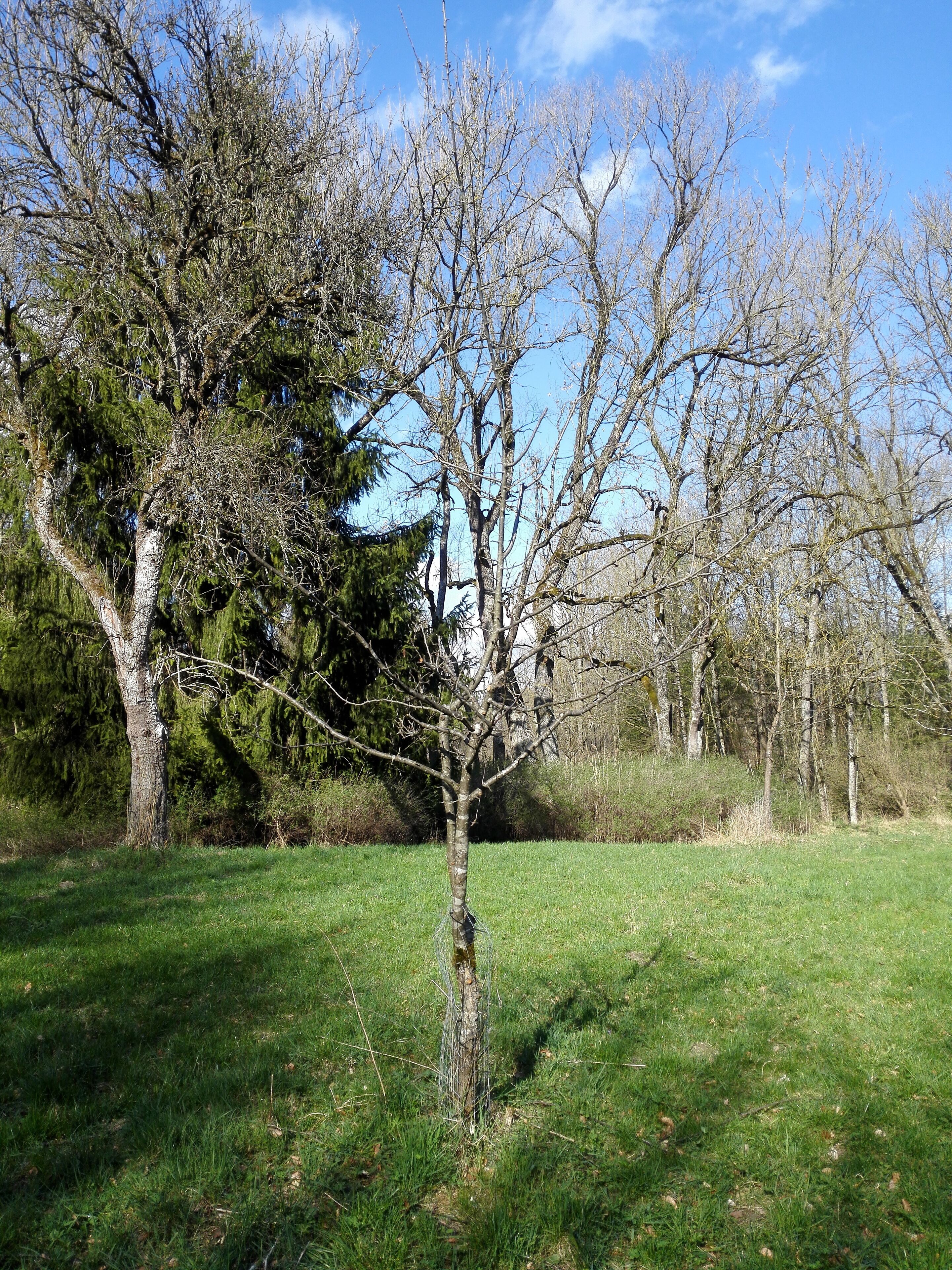 Siebenbrunn, Augsburg, Germany