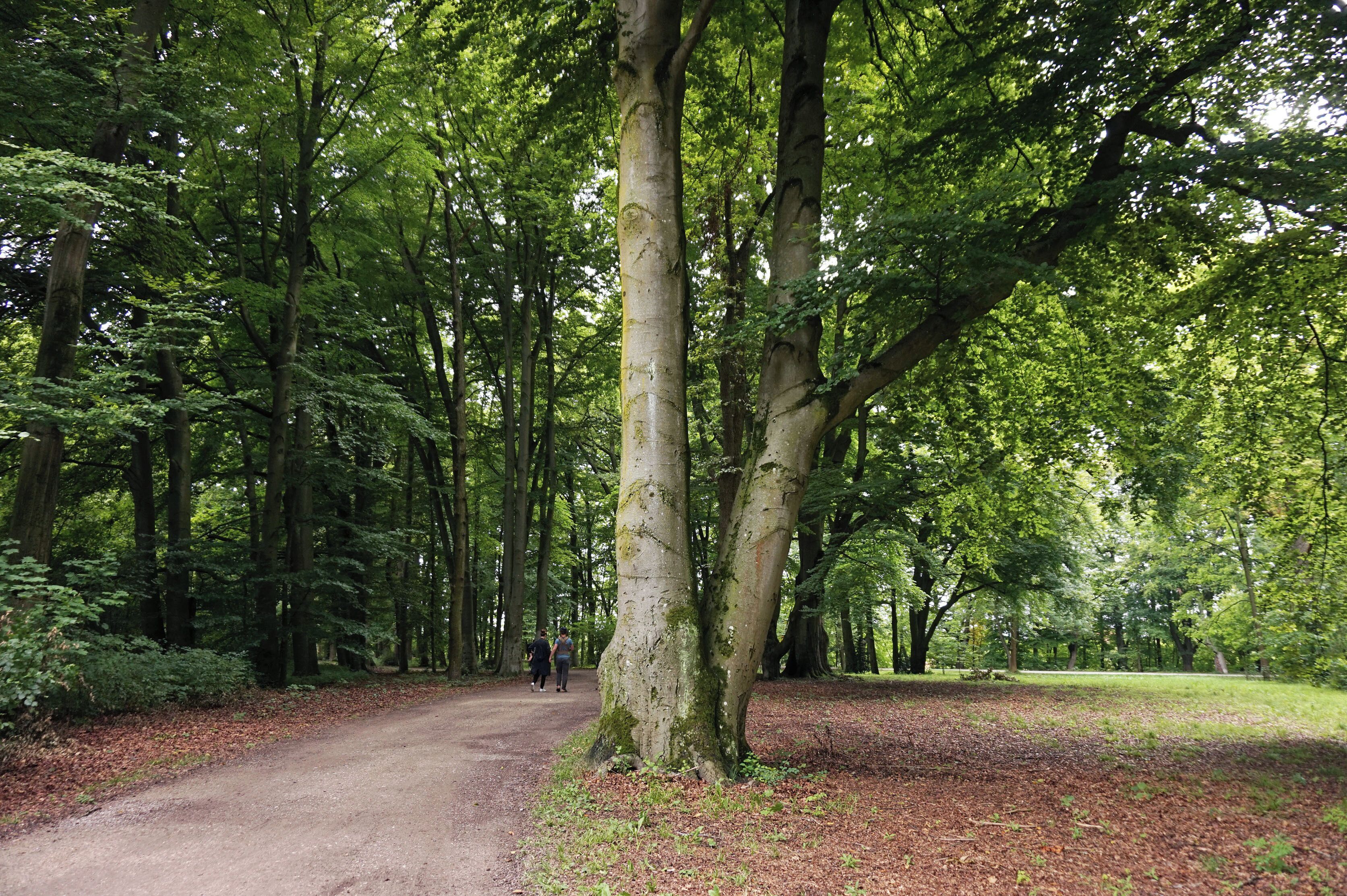 Wittelsbacher Park, Augsburg, Germany.