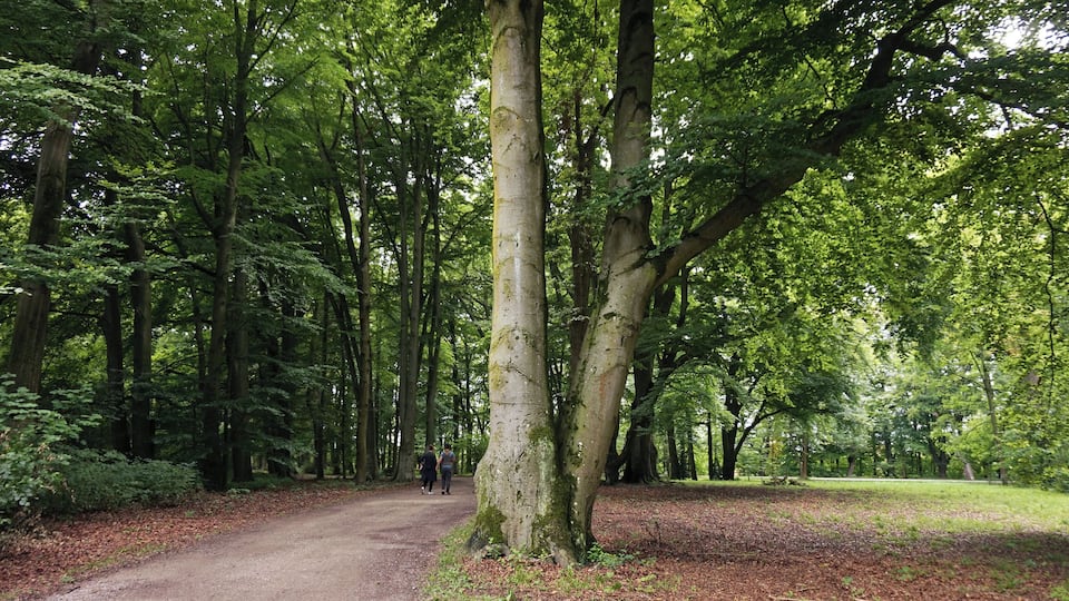 Wittelsbacher Park, Augsburg, Germany.