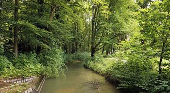 Siebenbrunner Bach in Augsburg, Germany.