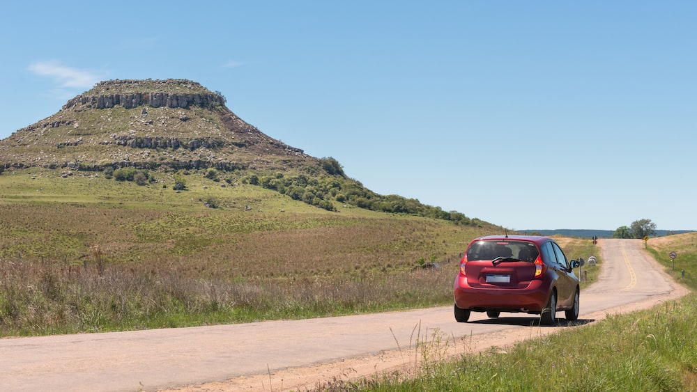 A red car is driving down a road in a grassy field