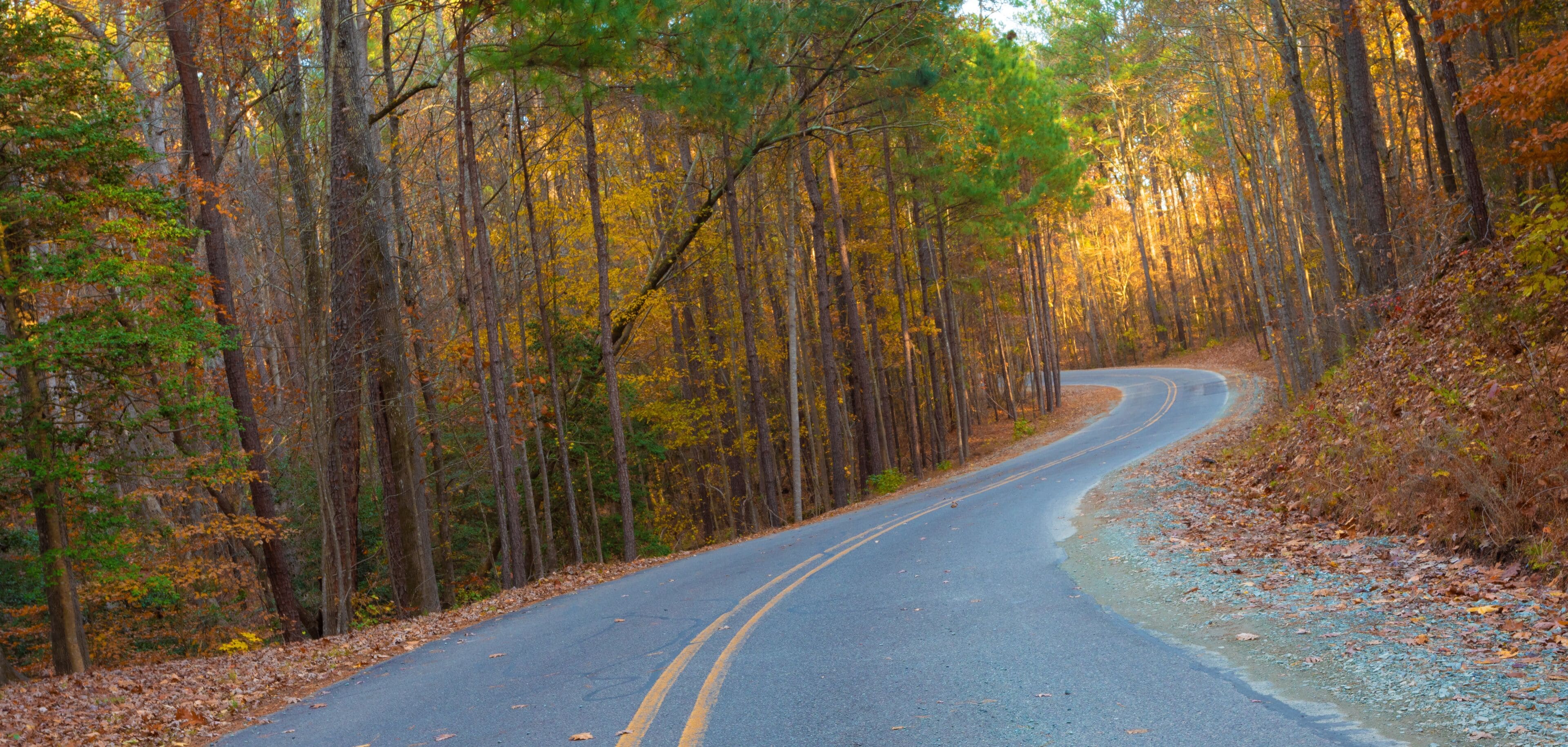 Winding road in a colorful autumn