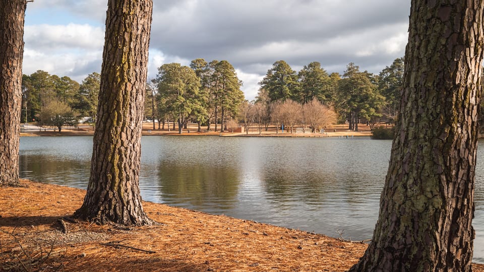 A lake surrounded by trees with a cloudy sky.