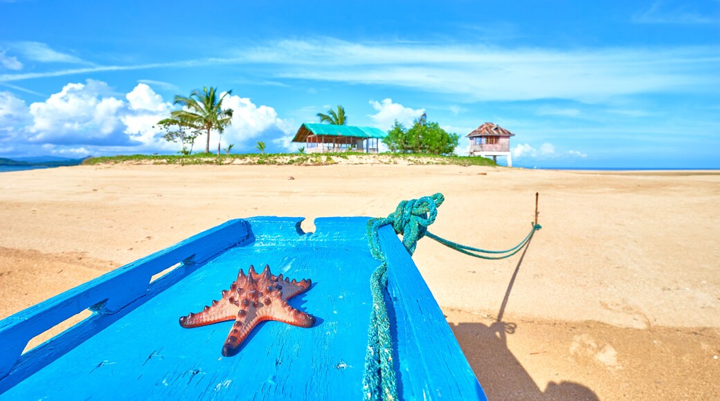 Starfish on a Boat at Coab Island of East Palawan - Philippines. Tiny litle island next to City of Roxas.