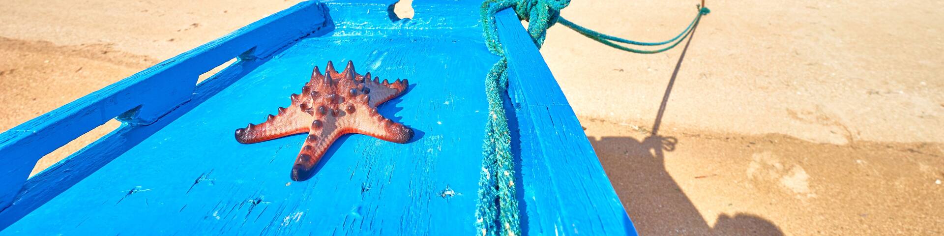 Starfish on a Boat at Coab Island of East Palawan - Philippines. Tiny litle island next to City of Roxas.
