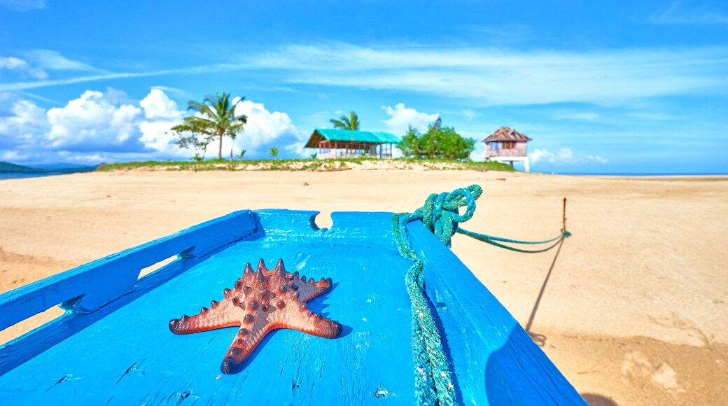 Starfish on a Boat at Coab Island of East Palawan - Philippines. Tiny litle island next to City of Roxas.