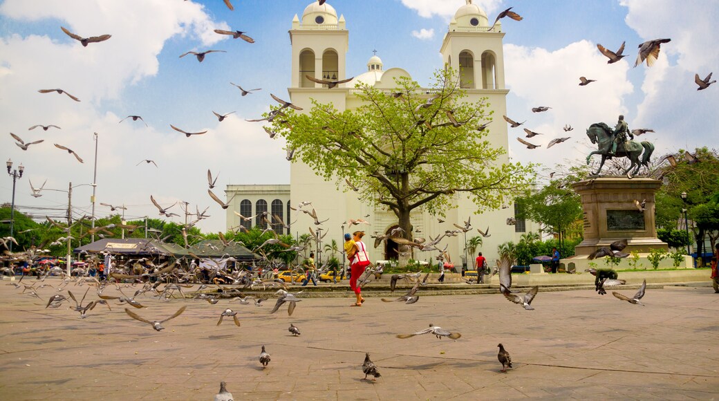 san salvador