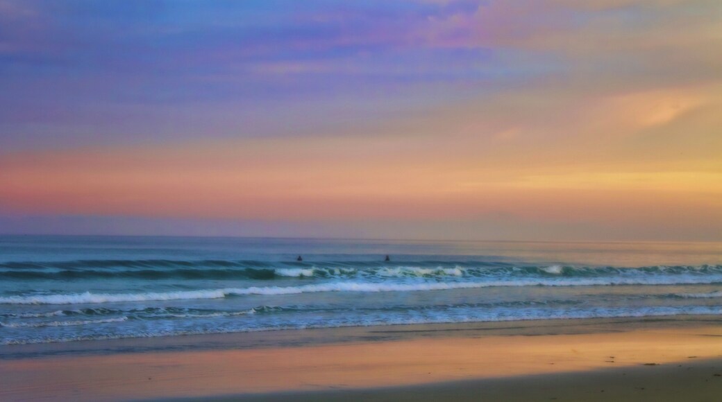 Day breakers catching first waves.
What I’ve learned from the ocean, is how to dance and rejoice in the motion .
.
.
.
.
#sandiego #scrippspier #sunrise #sunrisephotography #surf #surfing #westcoast #igers #photography #photooftheday #globetrotter #ghost #scrippspier #pastel #californiaphotographer #solo #solotravel #sunrise
