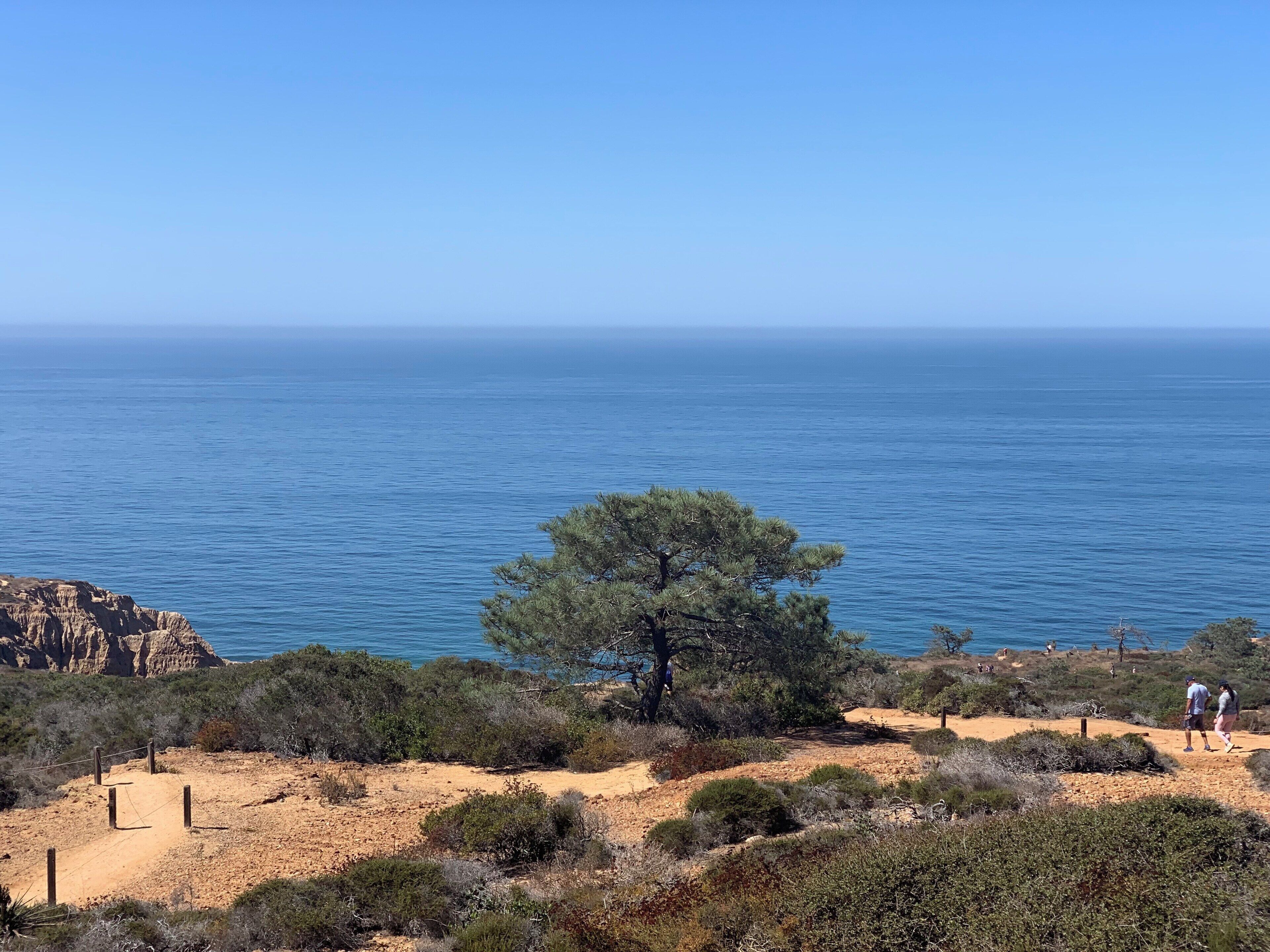 Hiking at Torrey Pines in San Diego. Great views, peace and tranquillity.