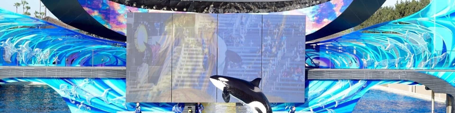 A dolphin show at a water park with a large digital backdrop and a dolphin jumping out of the water.
