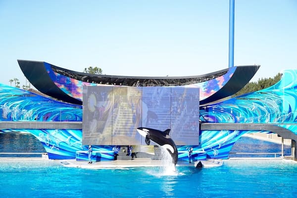 Apresentação de golfinhos em parque aquático, com um grande painel digital e um golfinho saltando da água.