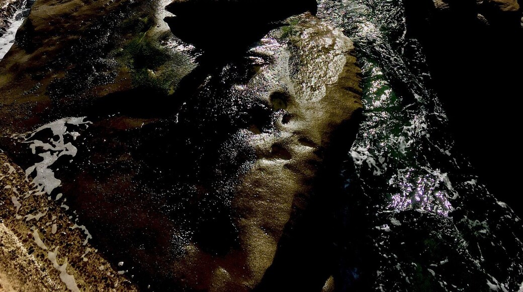 Children's Pool Beach