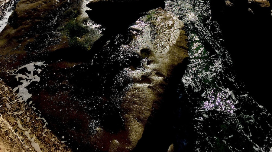 Children's Pool Beach