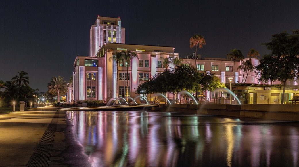 Lights at night and the water sculptures