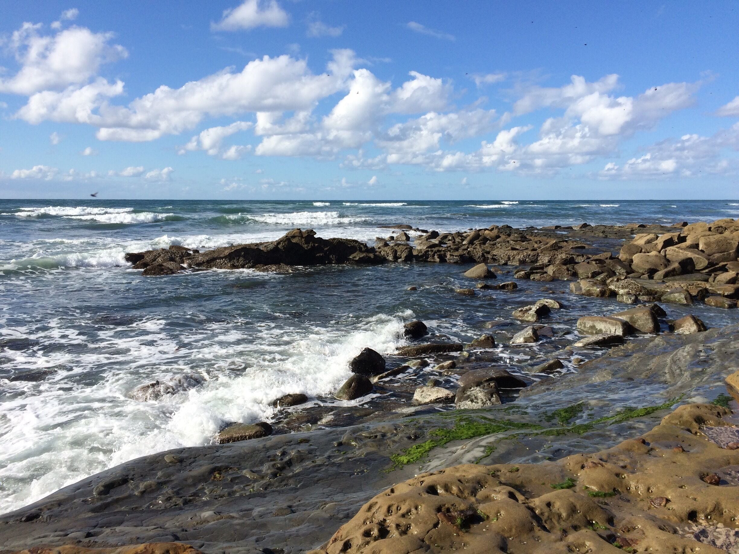 Go during low tide and walk out to the tide pools