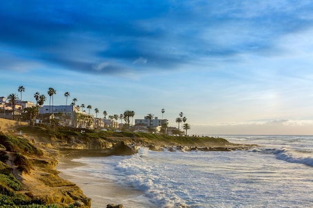 A coastal landscape with waves crashing onto the shore, palm trees, and buildings along the coastline.
