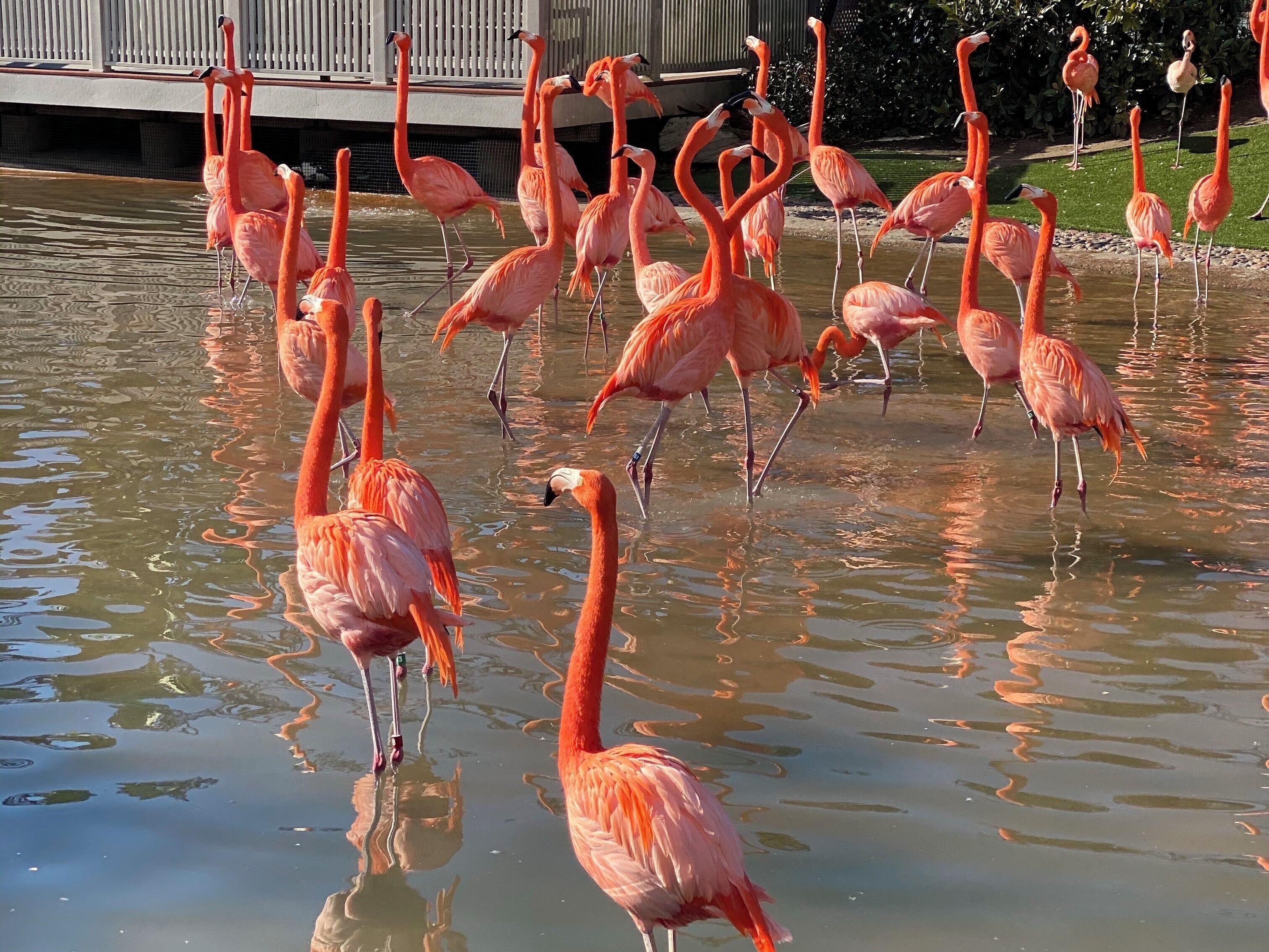 Parc à thème SeaWorld