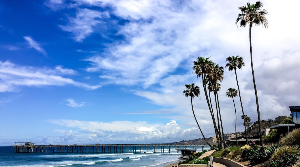 La Jolla Shores