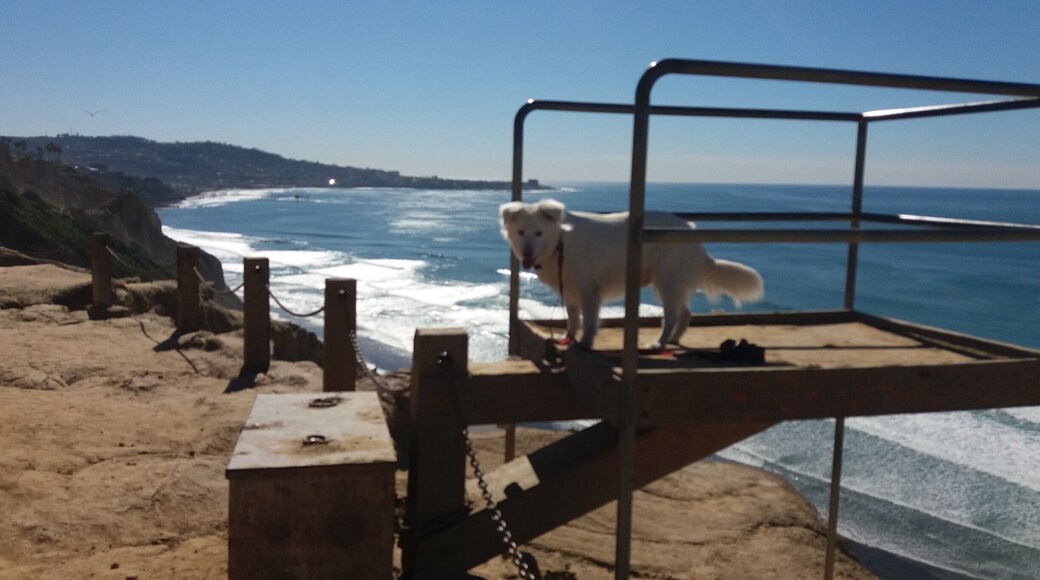 Hiking Blacks Beach.