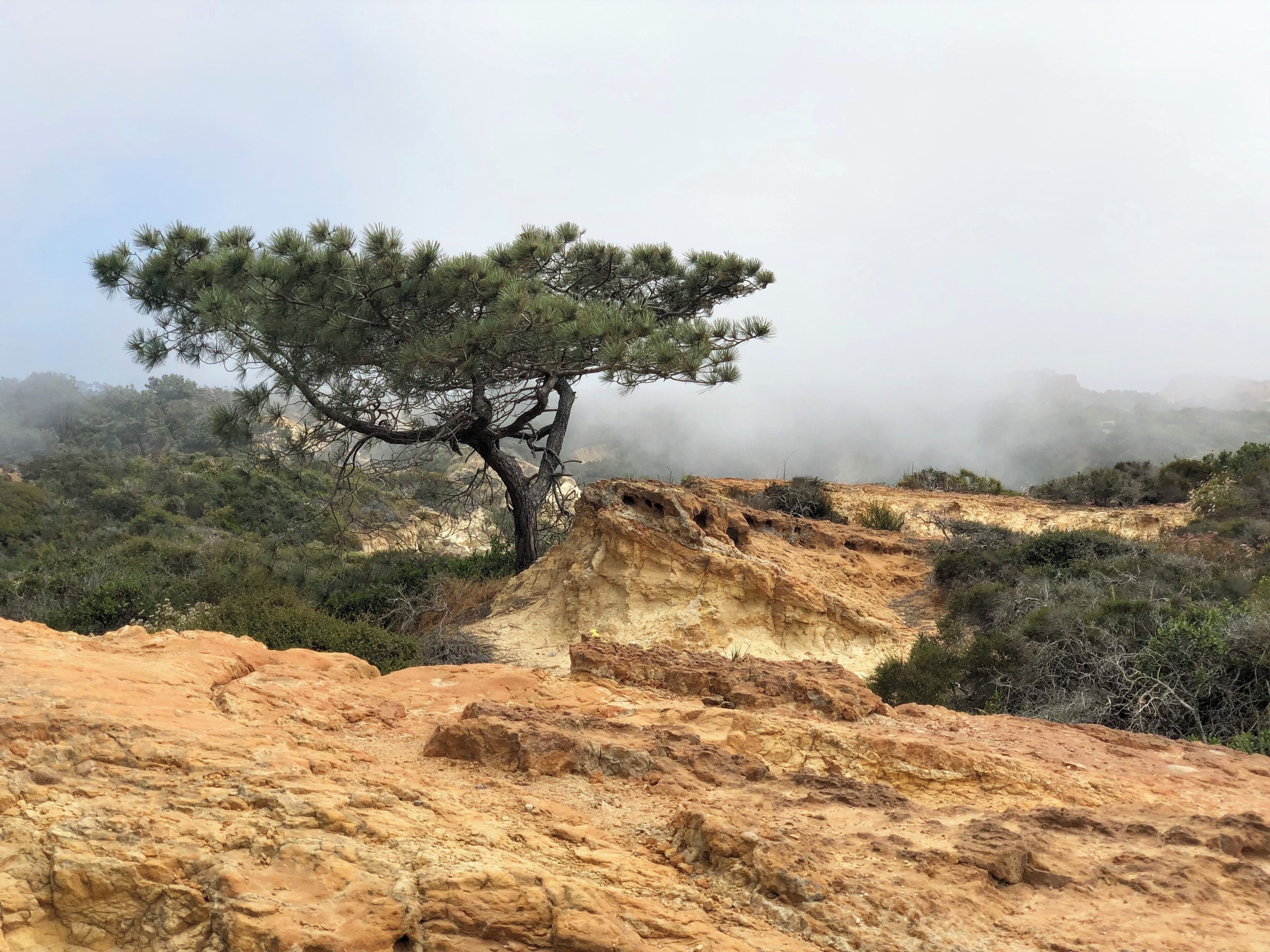 Bring a wildflower and a bird identification book for this hike!