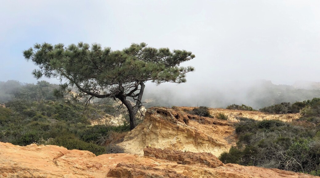 Bring a wildflower and a bird identification book for this hike!