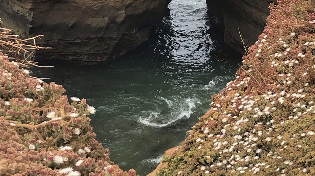 Walking along these beautiful cliffs appreciating the marvelous ocean and all that comes with it.