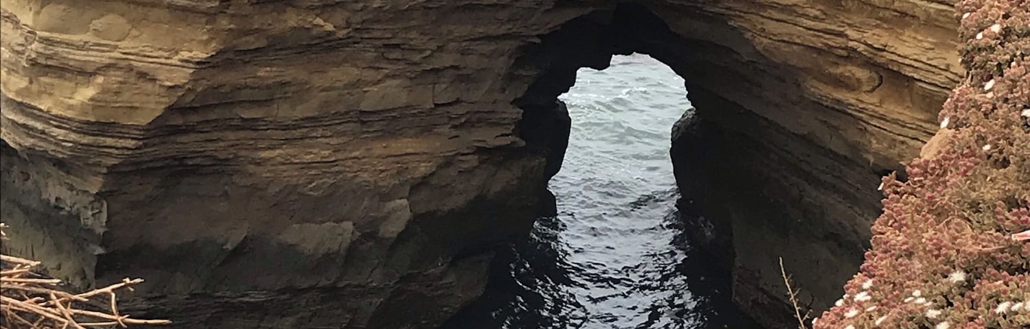 Walking along these beautiful cliffs appreciating the marvelous ocean and all that comes with it.