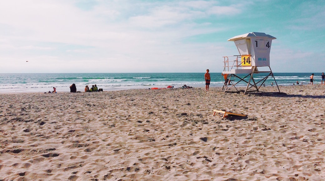 Fun facts:
✔️San Diego imports 168 million gallons of water a day. ✔️San Diego produces the most avocados in the United States.
#LifeAtExpedia #HitTheBeach #JulyTheme