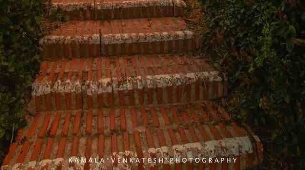 Presidio Park is a city historic park in San Diego, California. It is the site where the San Diego Presidio and the San Diego Mission, the first European settlements in what is now the Western United States, were founded in 1769.
Another view, going up the stairs to the chapel of the mission