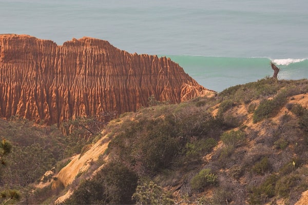 Just near the golf course is Torrey Pines which offers the best views San Diego has to offer. These are many marked trails that lead to the beach or around the huge cliffs. You will want to make sure your cameras are charged up before making your hike. So come out and explore Torrey Pines!