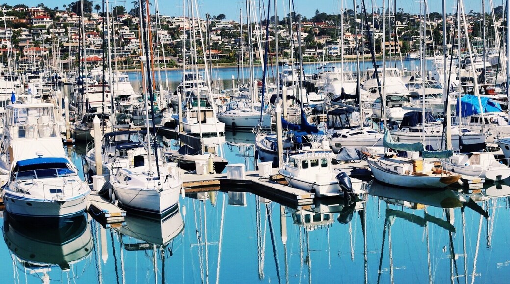 My first time in San Diego and I was lucky enough to have this view from my hotel window. The water was so clear that it looked like a mirror. #Blue #SanDiego