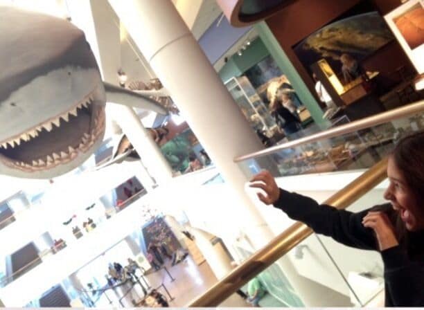 Fun day, and we got to see the King Tut Exhibit.