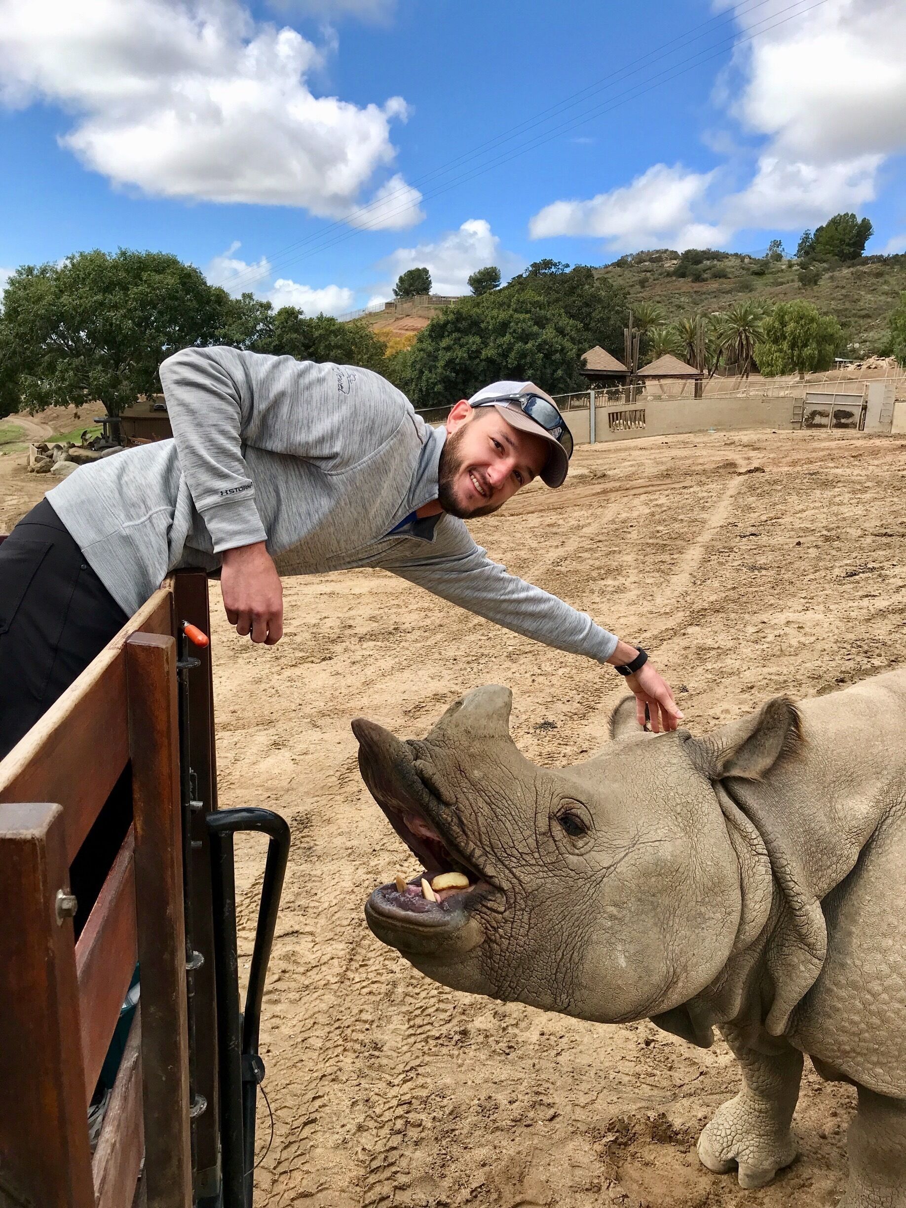 A person leaning over a fence, petting a rhinoceros.