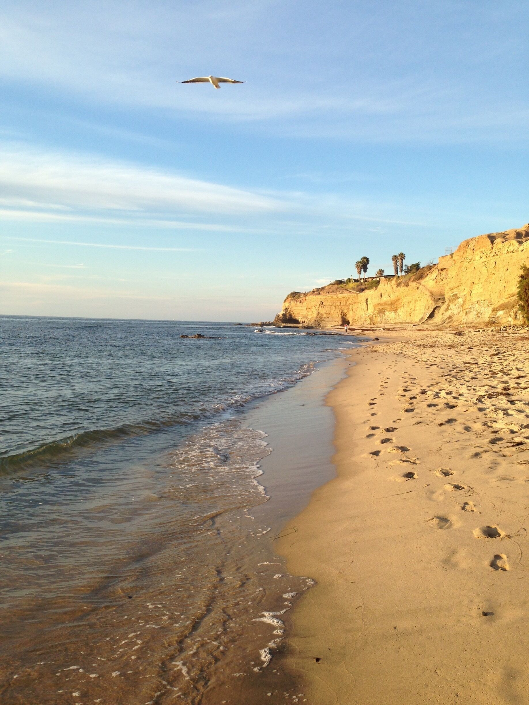 A "secret" beach near home that you have to navigate down a rope tied to a rock to get to.  Worth it because not many people want to hike down, which meant many days having the beach completely to myself.  I can also bring wine down too and not have to worry about getting in trouble! 🍷