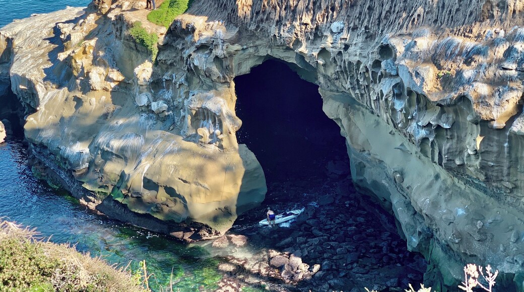 Taking an early morning stroll at the Cove