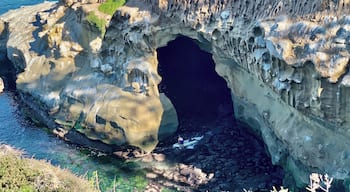 Taking an early morning stroll at the Cove