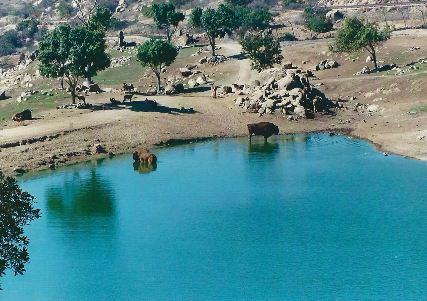 Travel in the back of a covered, open-air safari truck. Get an up-close view of Asian and African birds and mammals. Fantastic experience and opportunity for photographs.