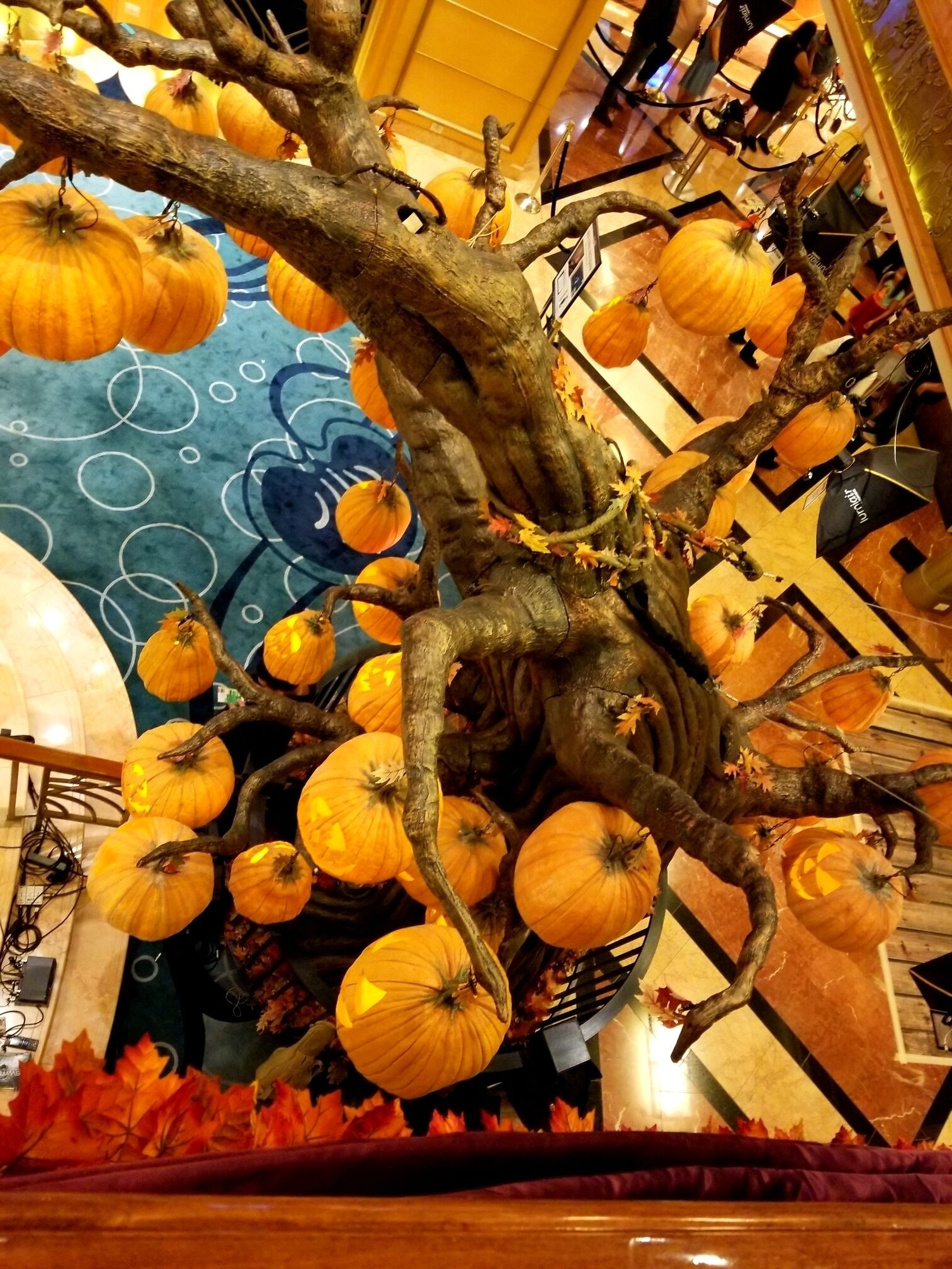 Disney Wonder Cruise Ship. Halloween on the High Seas. #lifeatexpedia #golden